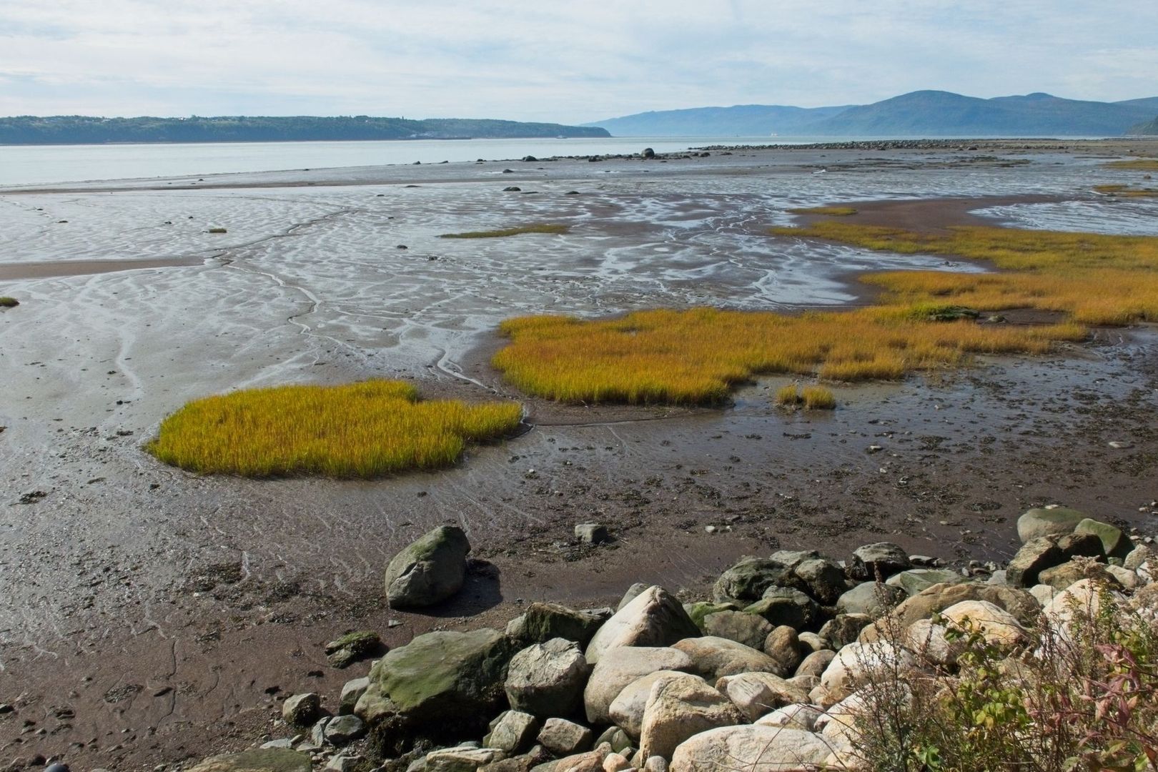 Low-tide mudflat with salt-marsh grass, rocks, bay, and distant hills