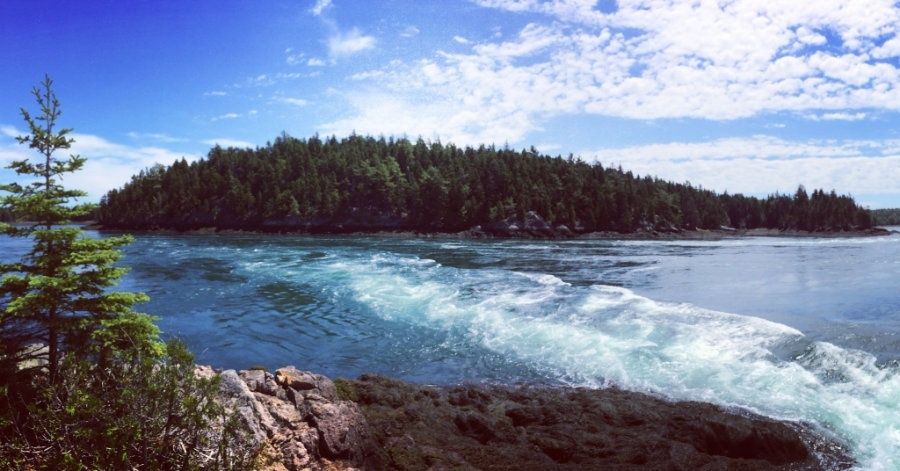 The Hydraulic Marvel of Reversing Falls: How Tidal Currents Defy River Flow