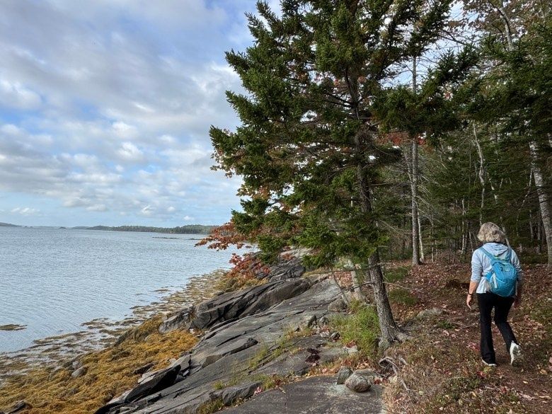 Beyond the Tides: Navigating the Peninsula Trails of Cobscook Bay State Park
