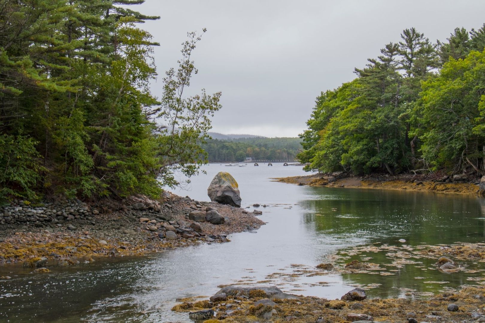 Rocky, forest-lined tidal channel leading toward a distant dam