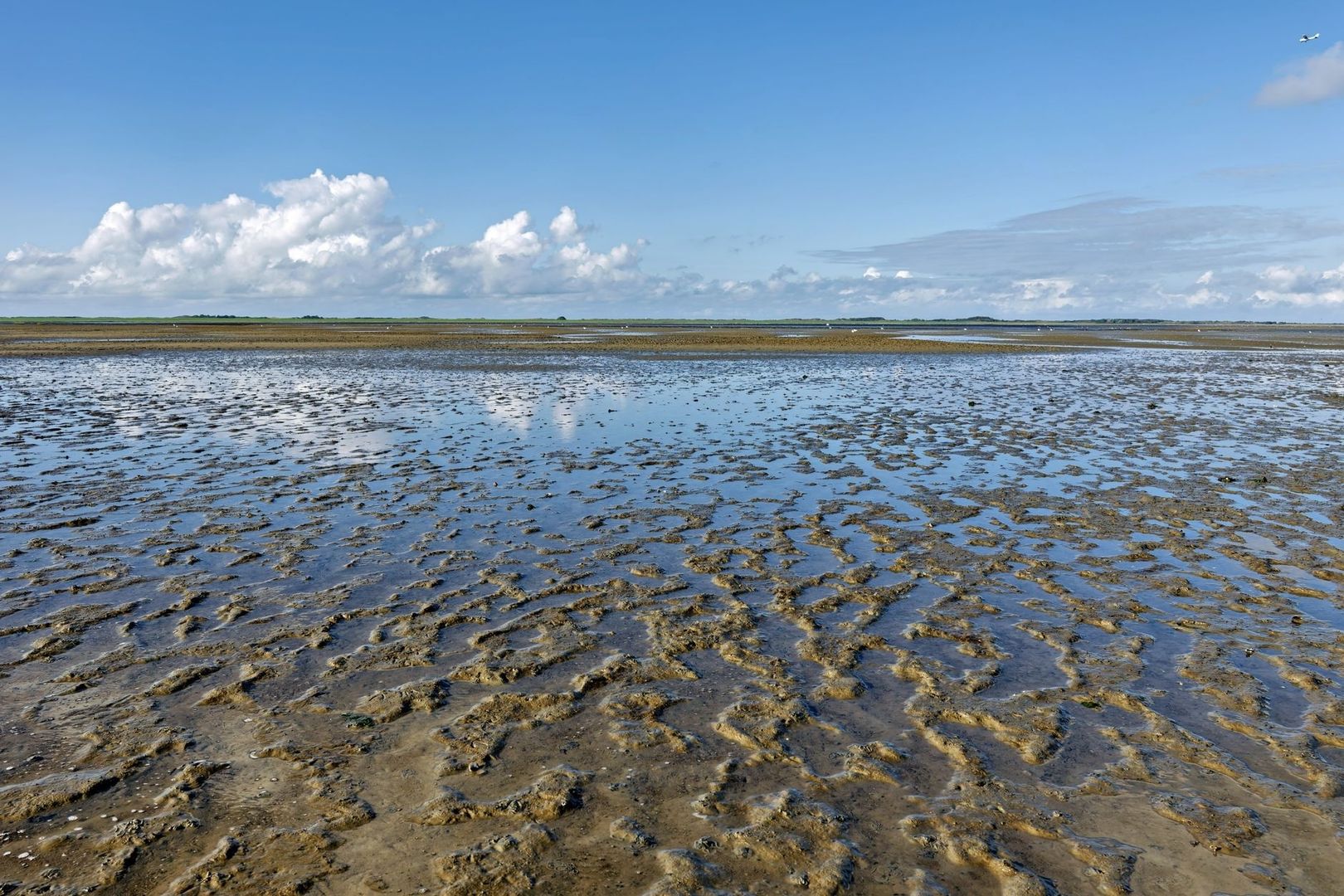 Broad tidal mudflat under blue skies, with distant shorebirds and a plane
