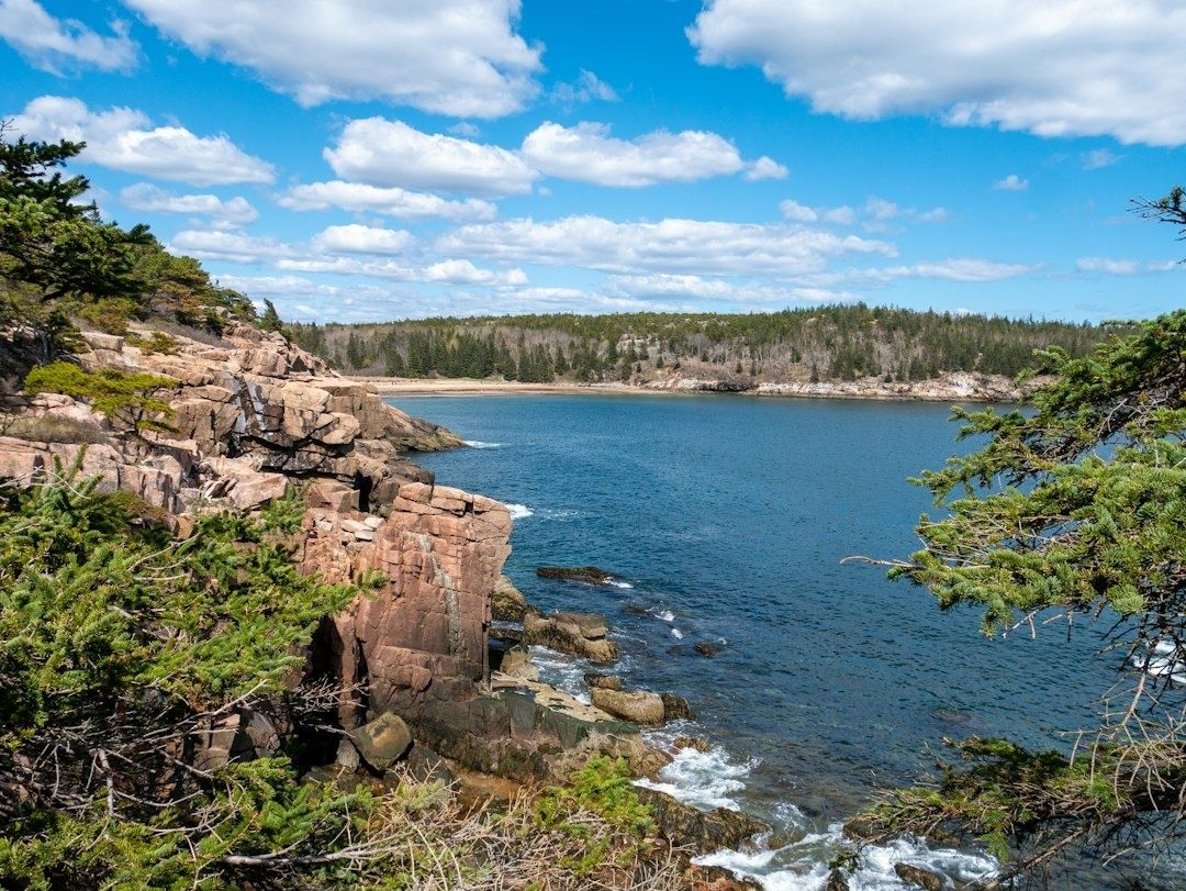 Rocky, forested Maine cove with cold blue water and small waves